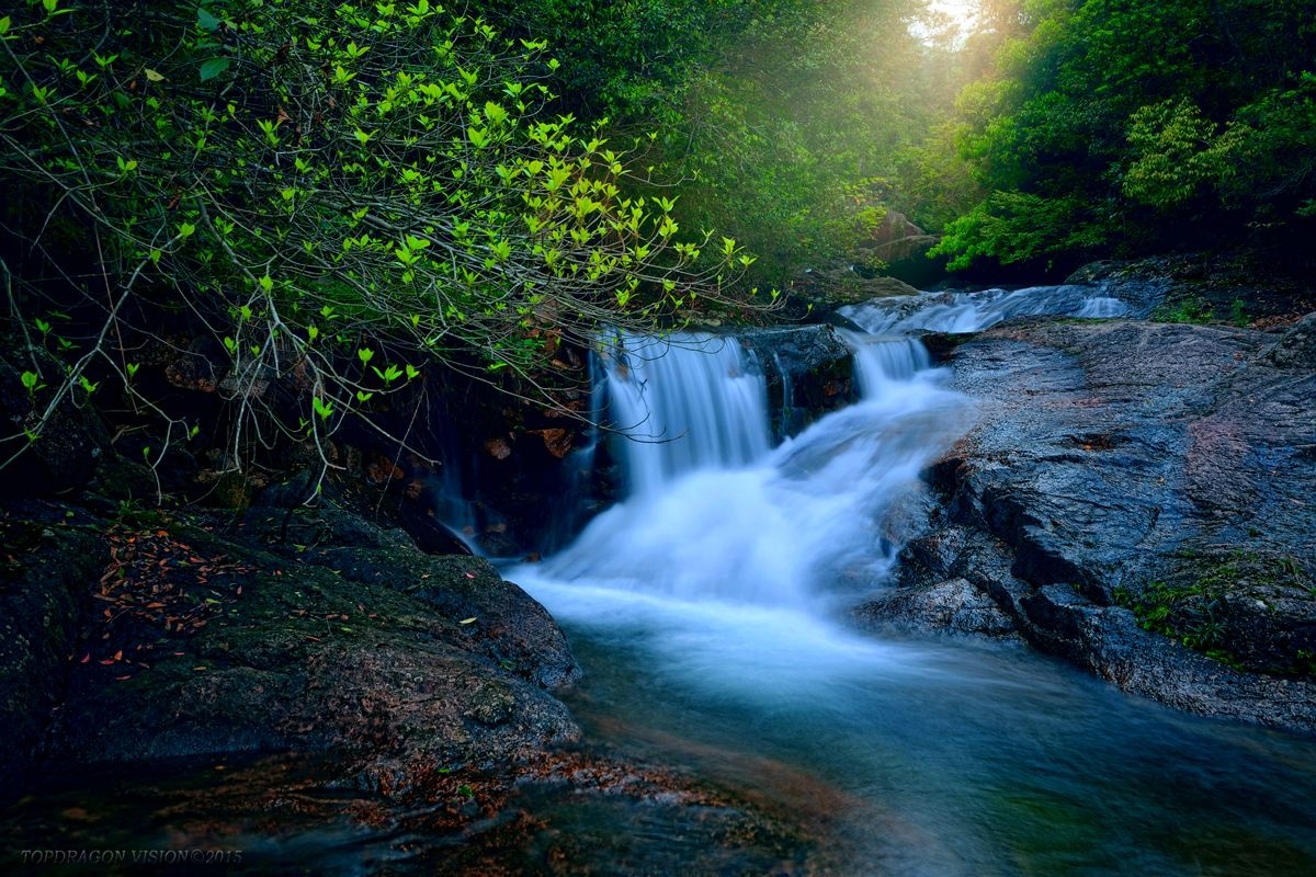 Shibashui Original Ecological Scenic Area